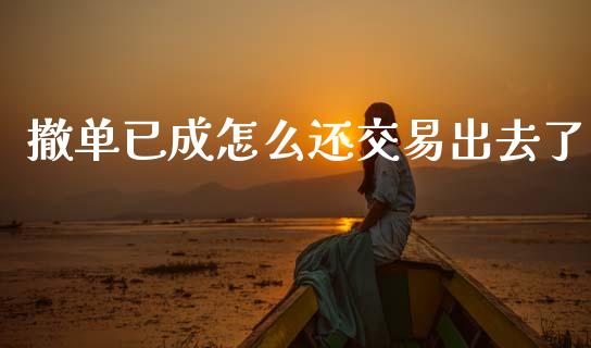 撤单已成怎么还交易出去了_https://www.apanben.com_股市分析_第1张
