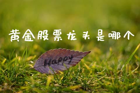 黄金股票龙头是哪个_https://www.apanben.com_股市指导_第1张