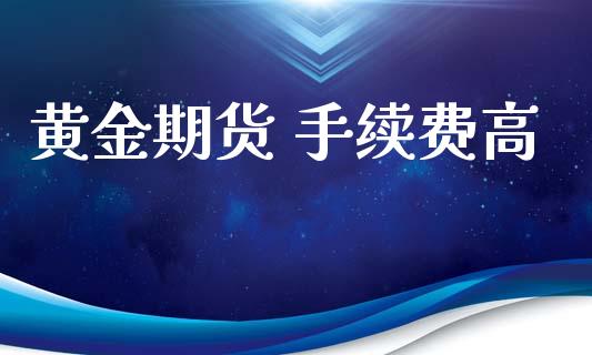 黄金期货 手续费高_https://www.apanben.com_期货学院_第1张