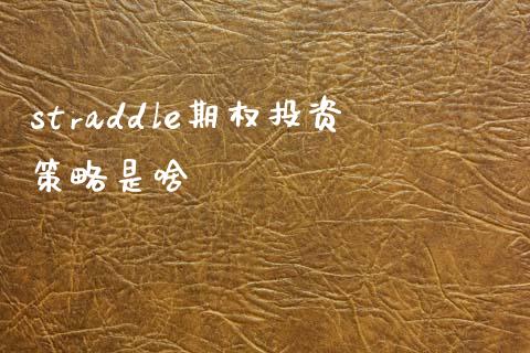 straddle期权投资策略是啥_https://www.apanben.com_股市分析_第1张