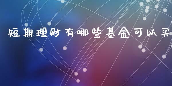 短期理财有哪些基金可以买_https://www.apanben.com_财经资讯_第1张