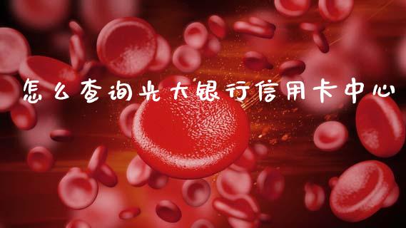 怎么查询光大银行信用卡中心_https://www.apanben.com_期货学院_第1张