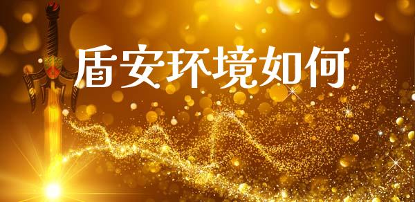 盾安环境如何_https://www.apanben.com_期货学院_第1张