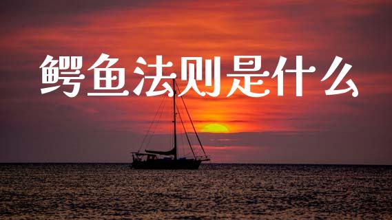 鳄鱼法则是什么_https://www.apanben.com_期货学院_第1张