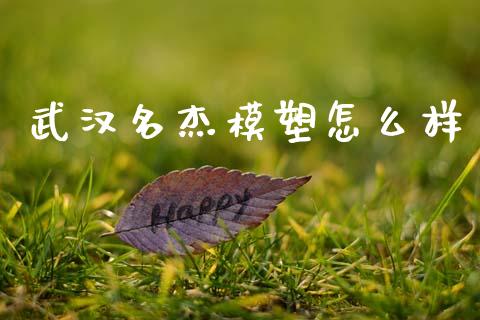 武汉名杰模塑怎么样_https://www.apanben.com_期货学院_第1张