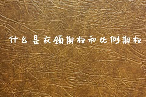 什么是衣领期权和比例期权_https://www.apanben.com_财经资讯_第1张