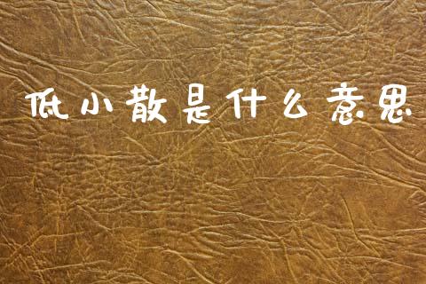 低小散是什么意思_https://www.apanben.com_在线喊单_第1张