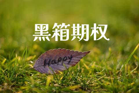 黑箱期权_https://www.apanben.com_股市分析_第1张