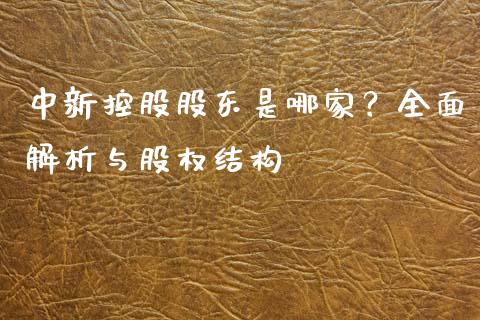 中新控股股东是哪家？全面解析与股权结构_https://www.apanben.com_股票怎么玩_第1张