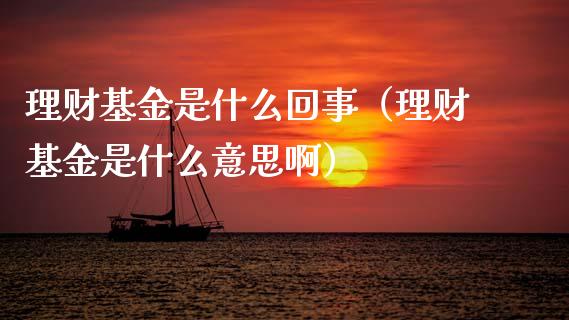 理财基金是什么回事（理财基金是什么意思啊）_https://www.apanben.com_财经资讯_第1张