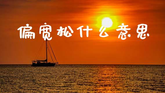 偏宽松什么意思_https://www.apanben.com_股票怎么玩_第1张