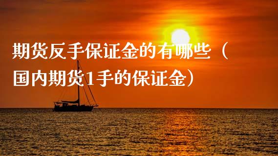 期货反手保证金的有哪些（国内期货1手的保证金）_https://www.apanben.com_国际期货_第1张
