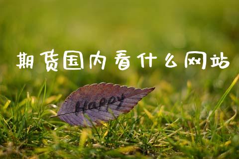 期货国内看什么网站_https://www.apanben.com_国际期货_第1张