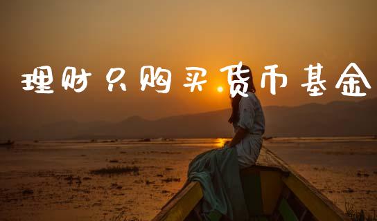 理财只购买货币基金_https://www.apanben.com_国际财经_第1张