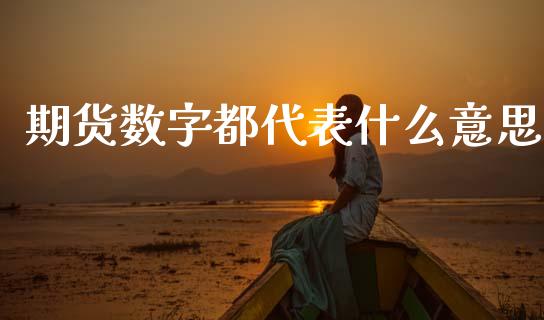 期货数字都代表什么意思_https://www.apanben.com_在线喊单_第1张