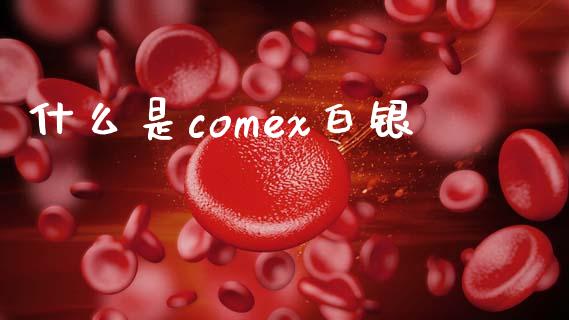 什么是comex白银_https://www.apanben.com_国际期货_第1张