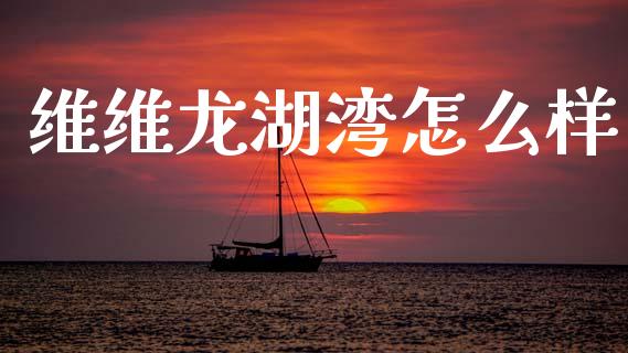 维维龙湖湾怎么样_https://www.apanben.com_在线喊单_第1张