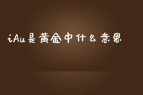 iAu是黄金中什么意思_https://www.apanben.com_国际期货_第1张