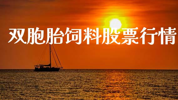 双胞胎饲料股票行情_https://www.apanben.com_股票怎么玩_第1张