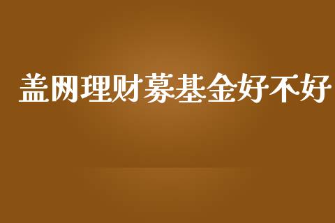 盖网理财募基金好不好_https://www.apanben.com_国际财经_第1张