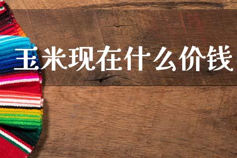 玉米现在什么价钱_https://www.apanben.com_国际财经_第1张