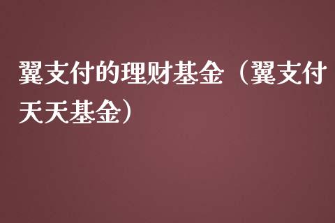 翼支付的理财基金（翼支付天天基金）_https://www.apanben.com_国际财经_第1张