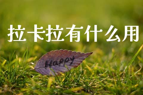 拉卡拉有什么用_https://www.apanben.com_国际财经_第1张
