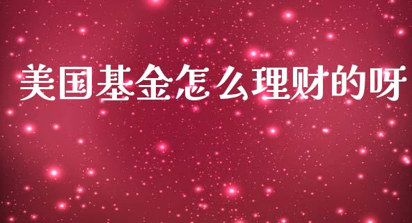 美国基金怎么理财的呀_https://www.apanben.com_财经资讯_第1张