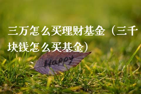 三万怎么买理财基金（三千块钱怎么买基金）_https://www.apanben.com_财经资讯_第1张