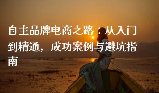 自主品牌电商之路：从入门到精通，成功案例与避坑指南_https://www.apanben.com_国际财经_第1张