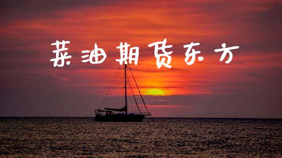 菜油期货东方_https://www.apanben.com_财经资讯_第1张