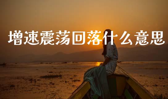 增速震荡回落什么意思_https://www.apanben.com_期货学院_第1张