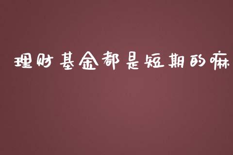 理财基金都是短期的嘛_https://www.apanben.com_国际财经_第1张