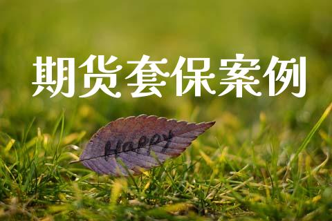 期货套保案例_https://www.apanben.com_期货学院_第1张
