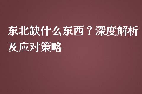 东北缺什么东西？深度解析及应对策略_https://www.apanben.com_股市分析_第1张