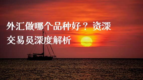 外汇做哪个品种好？ 资深交易员深度解析_https://www.apanben.com_期货学院_第1张