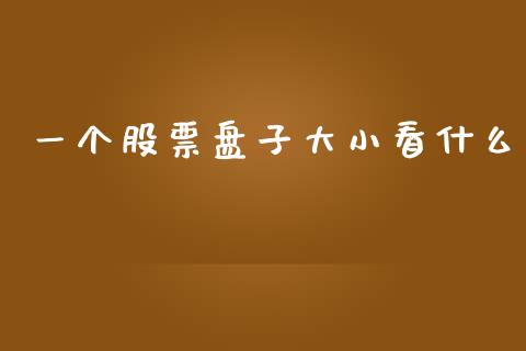 一个股票盘子大小看什么_https://www.apanben.com_期货学院_第1张
