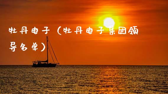 牡丹电子（牡丹电子集团领导名单）_https://www.apanben.com_期货学院_第1张