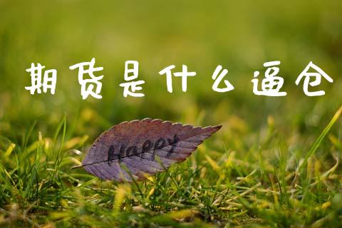 期货是什么逼仓_https://www.apanben.com_股市分析_第1张