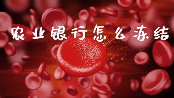 农业银行怎么冻结_股市指导_第1张_安贝财经网 农业银行怎么冻结_https://www.apanben.com_股市指导_第1张