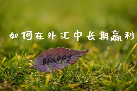 如何在外汇中长期赢利_https://www.apanben.com_国际财经_第1张
