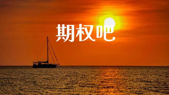 期权吧_https://www.apanben.com_股市指导_第1张