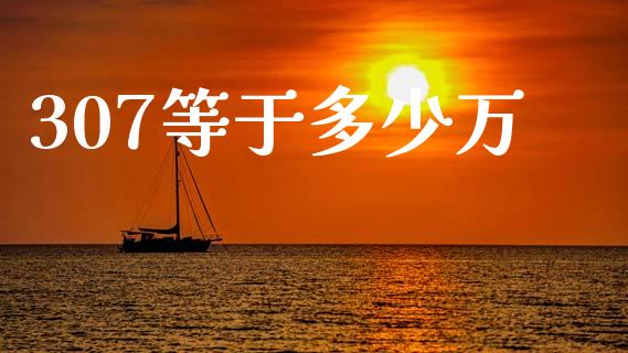 307等于多少万_https://www.apanben.com_股市指导_第1张