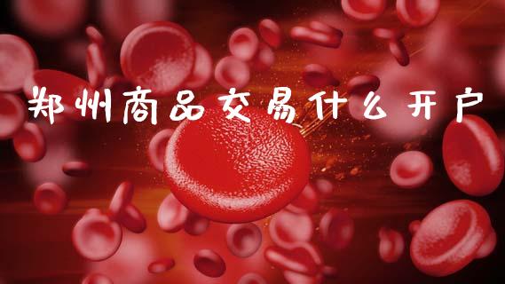 郑州商品交易什么开户_https://www.apanben.com_在线喊单_第1张