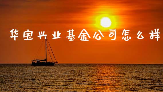 华宝兴业基金公司怎么样_https://www.apanben.com_股市分析_第1张