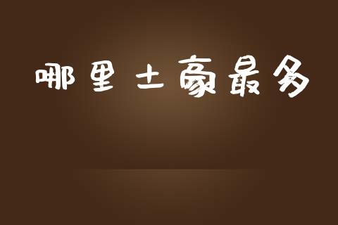 哪里土豪最多_https://www.apanben.com_期货学院_第1张