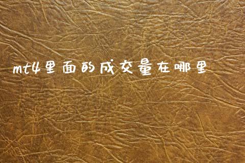 mt4里面的成交量在哪里_https://www.apanben.com_国际期货_第1张