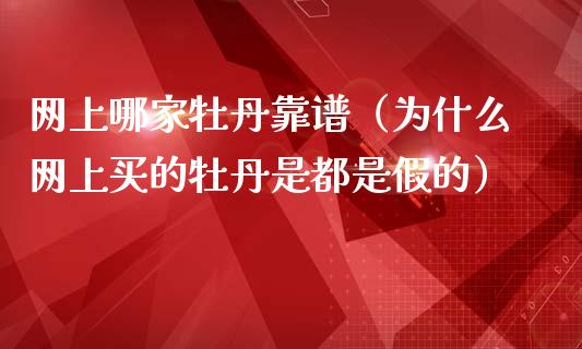 网上哪家牡丹靠谱（为什么网上买的牡丹是都是假的）_https://www.apanben.com_期货学院_第1张