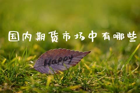 国内期货市场中有哪些_https://www.apanben.com_财经资讯_第1张