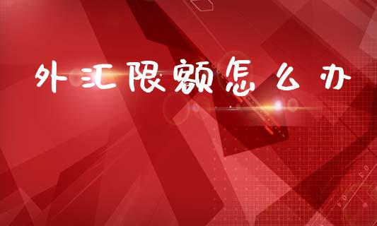外汇限额怎么办_https://www.apanben.com_国际期货_第1张